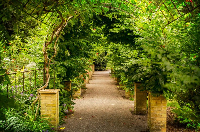 Ventnor Botanic Garden, United Kingdom